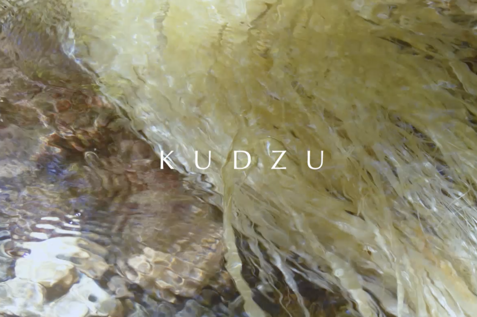 KUDZU